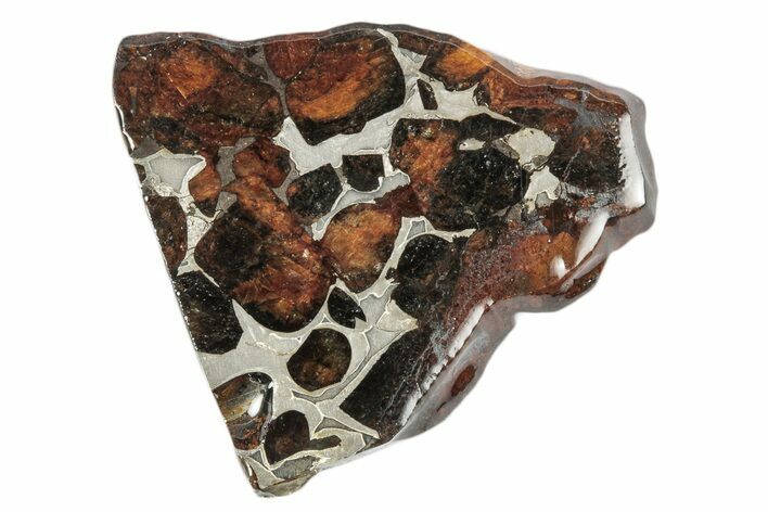 Sericho Pallasite Meteorite ( g) Slice - Kenya #346449
